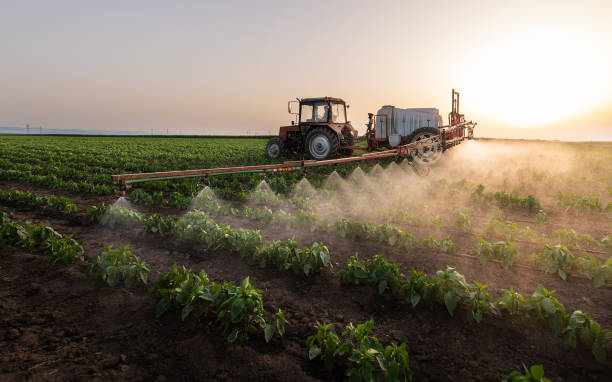 Best Cockroach Control Services  in New Glarus, WI