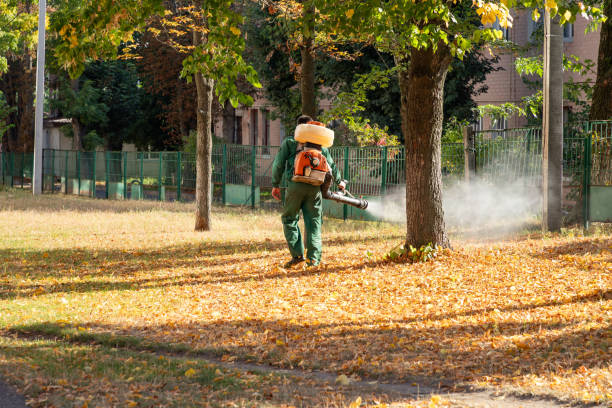 Best Best Pest Control Companies  in New Glarus, WI