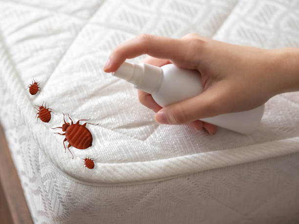 Best Ant Control Services  in New Glarus, WI