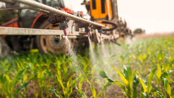 Best Pest Removal Services  in New Glarus, WI
